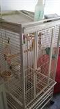 bird cage (parrot) or other type of bird
