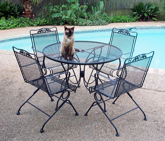 Patio Table and 4 Chairs - 225.00