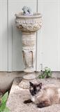 Carved Wood Planter/Stand - 60.00