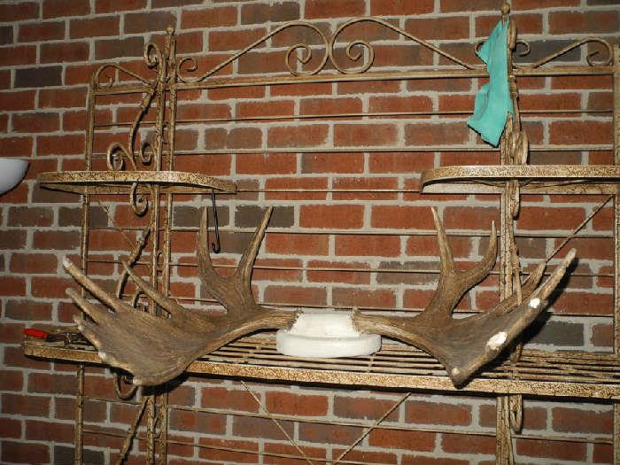 Moose antlers on a beautiful baker's rack