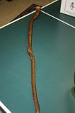 WALKING STICK