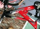 Mongoose DXR bike