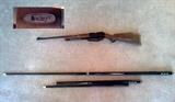 DAISEY BB GUN, (2) CUE STICKS