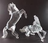 Murano Stallions