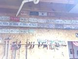 Large variety of vintage license plates