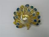 Victorian Pique De Joker Peacock Brooch