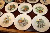 Adams Birds of America plates