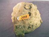 Genuine Dinosaur Egg Nest w/ Eggs From an estate located in a route 66 Trading Post in Holbrook. A genuine Dinosaur Egg Nest. Still has eggs! Very rare and seldom offered for sale. Measures 13" x 16".
Group - Category: Antiques &Collectibles - natural history