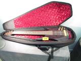 Galveston 8 String Bass Guitar Instrument
Fabulous "Galveston" 8 string bass guitar with black and gold coloring. Appears to be in working condition. Guitar comes in soft black coffin case with velvet lining.