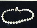 Jewelry Single Strand South Sea Pearl Necklace AIG
Elegant single strand pearl necklace with a 14K white gold clasp. Included American International Gemologists (AIG) Gemological Report reads:
"One graduated single strand south sea cultured pearl necklace. Sixteen inch length, knotted with a thirteen millimeter scalloped 14KT white gold plunger style clasp containing 31 south sea cultured pearls, 10.00mm to 17.00mm in size. The pearls are very slightly Green White Rose' in color to greenish Cream color, with low to medium luster, thin to medium nacre, semi baroque to slightly off round, lightly spotted to spotted with good uniformity. 
South Sea Cultured Pearls are farrmed in the ocean waters throughout Australia, the Philippines, INdonesia, and the southern coast of China. Australia's main culturing industry is located near the city of Broome, in the northwest on the Kimberley coast. South Sea cultured pearls form in the Pinctada Maxima oyster, the world's largest (up to 34cm) pearl c