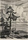 Birger Sandzen   Colorado Pines    1st Litho   $1,800