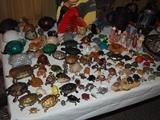 Miniature turtle collection!