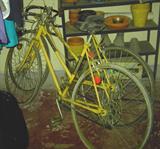 bicycles