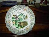 Audubon plate