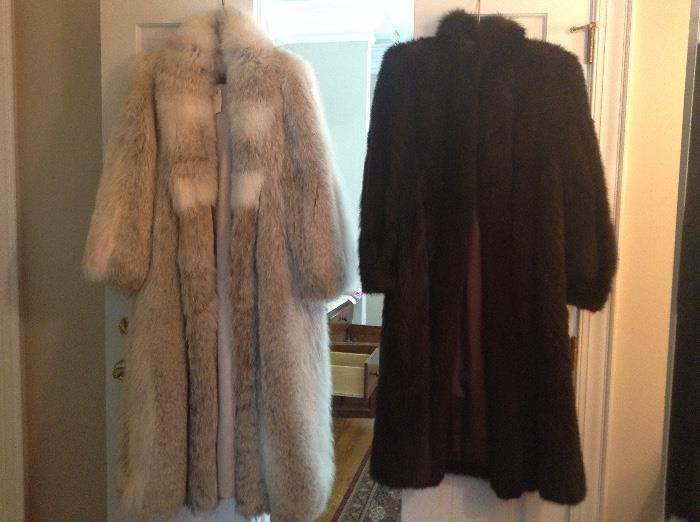 Full length coyote and mink