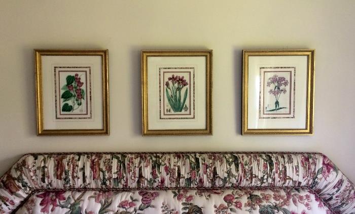 Vintage botanical prints