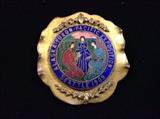 Rare Alaskan Yukon Pacific Exposition pin 1909