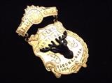 1901 Elks Carnival pin