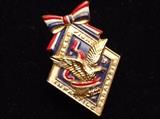 Roosevelt souvenir pin 
