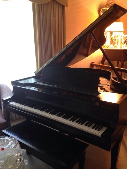 Amazing Steinway & Sons 1928 M Baby Grand.Hulme Accessed.  One of 5 people in the country who rebuilds Steinways. Excellent condition. Needs tunning and minor maintenance.