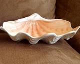Large Wedgewood shell