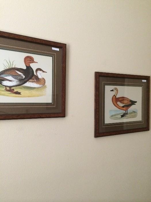 Framed duck prints