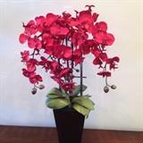     Artificial orchid arrangement