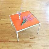 Richard Schultz for Knoll