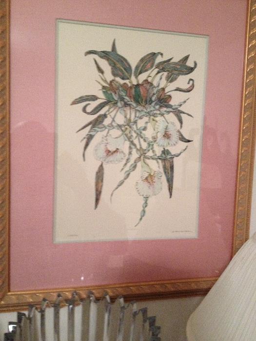 Framed Botanical print