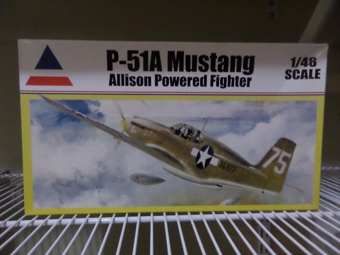 Airplane Model 1/48 Scale