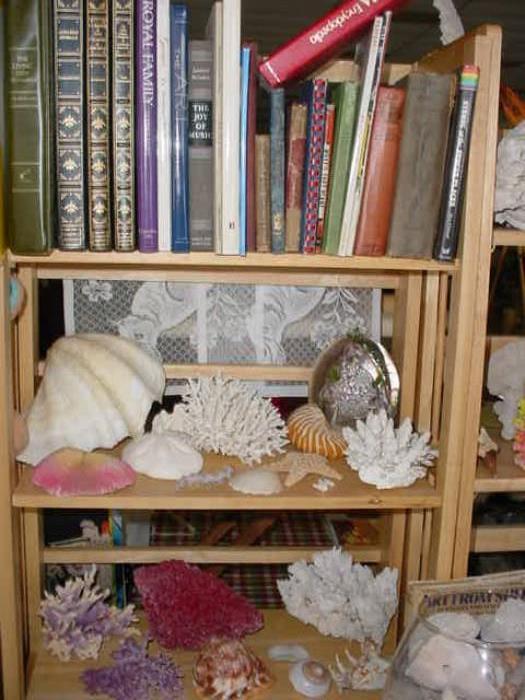 and more of the fantastic coral, brain coral, and some of the fine vintage books