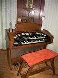 Organ