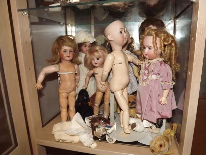 Antique Bisque French, German, American Dolls, Doll Heads, and more 