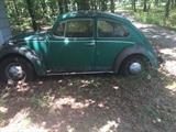 1969 Volkswagen bug