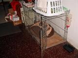 large dog cage