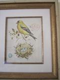 BIRD ART