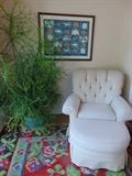 Kilim rug, chair and ottoman, pencil cactus
