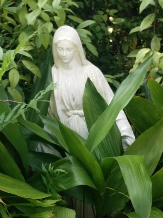 Madonna figure in garden.