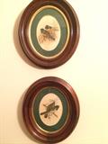 pair of framed hand colored engraving of birds in oval walnut gilt frames