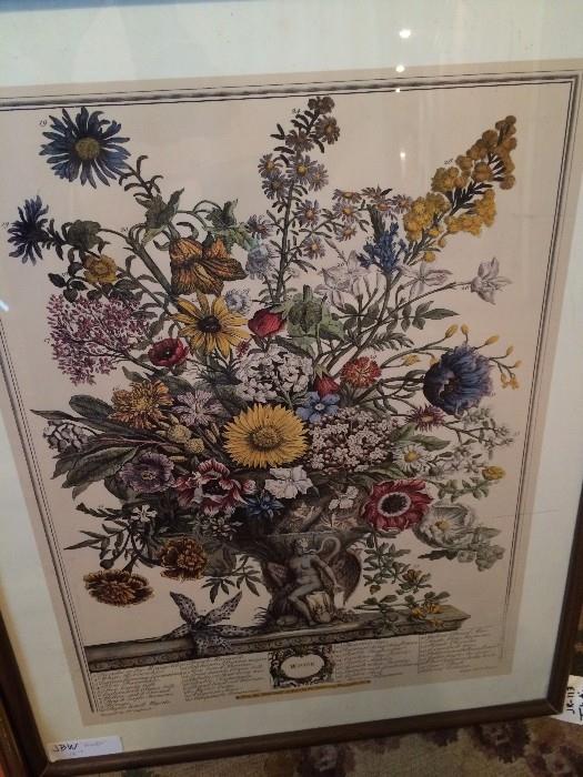  Botanical framed art
