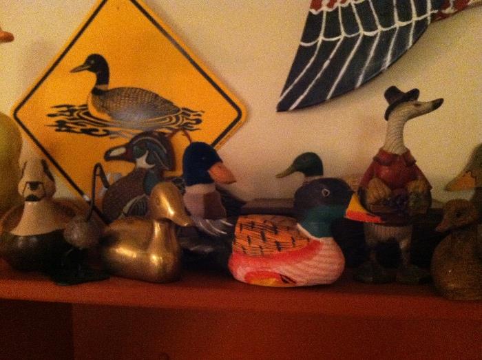 Ducks and duck decoys
