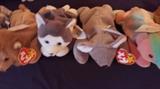 More Beanie Babies