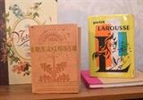 Wonderful Vintage French Dictionaries with Illustrations
