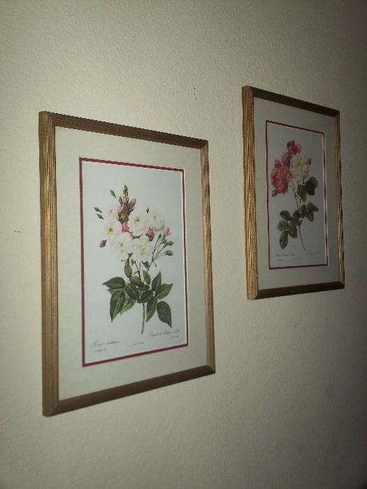 Two floral pictures
