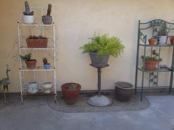 Outdoor racks plants cement pots 