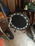 SMALL TRAMPOLINE
