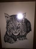 LYNX WILD CAT FRAMED ART ( SIGNED )