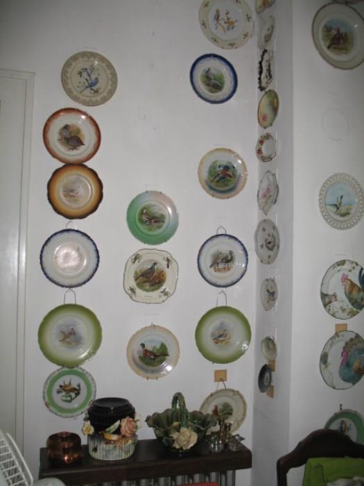 bird plates, fish plates