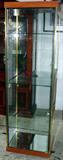 Lighted Display Case