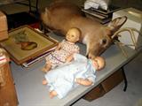 From Dolls to Deer Heads!